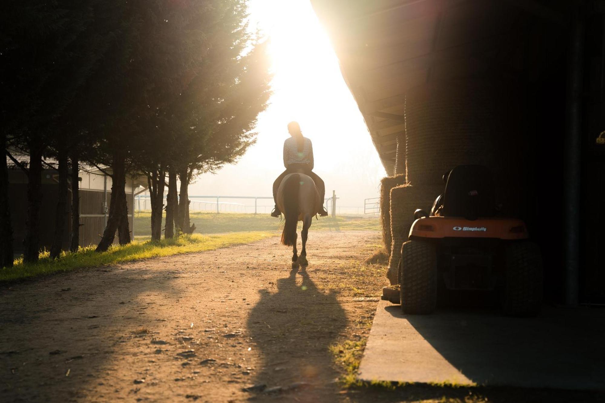 Origine Country Farm Tabiano Terme